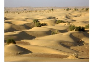 Sam Sand Dunes