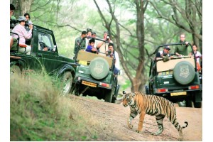 Jeep Safari